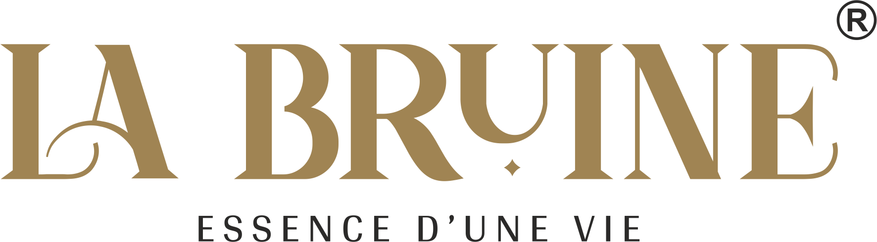 Partner Logo 2