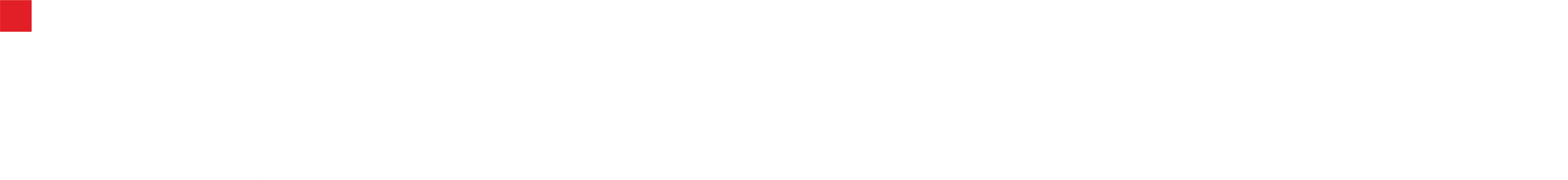 Partner Logo 6