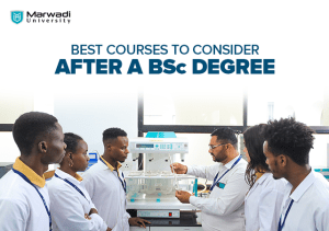 Career option after BSc degree