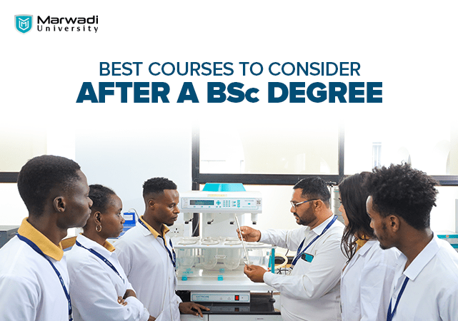 <strong></noscript>Best Courses to Consider After a BSc Degree</strong> 