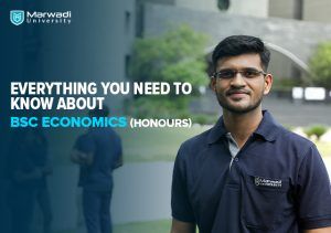 Everything You Need to Know About BSc Economics (Honours)