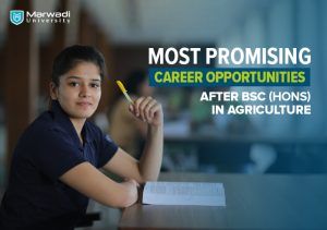 Most Promising Career Opportunities After BSc (Hons) in Agriculture