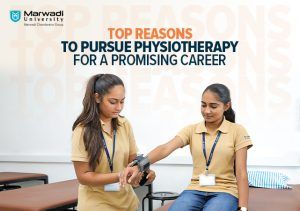 Top Reasons to Pursue Physiotherapy for a Promising Career