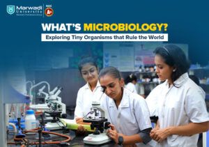 What’s Microbiology? Exploring Tiny Organisms that Rule the World