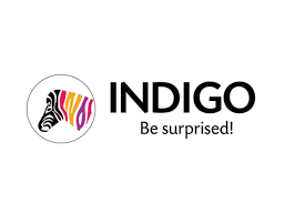 Indigo-Paints